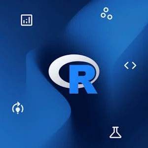 Data Analytics in the Public Sector with R preview and deal image