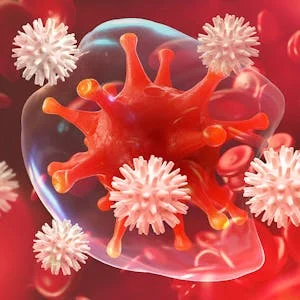 Fundamentals of Immunology preview and deal image
