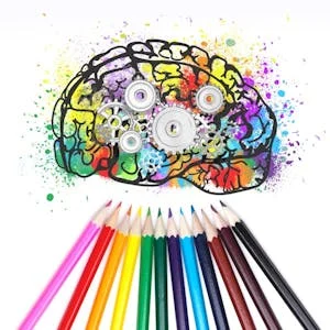 Neuroscience of Leadership: Leading with Your Brain preview and deal image