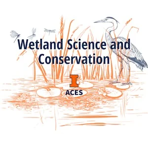 Wetland Science and Conservation preview and deal image