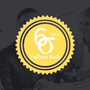 Six Sigma Yellow Belt Exam Prep Certification preview and deal image