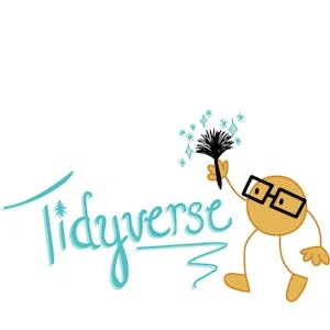 Tidyverse Skills for Data Science in R preview and deal image