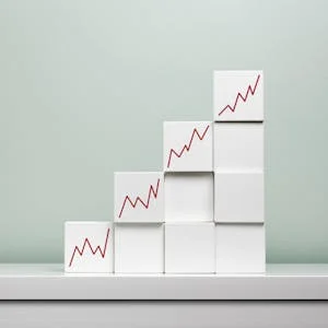 Business Strategy – Educational Software preview and deal image