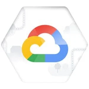 Digital Transformation Using AI/ML with Google Cloud preview and deal image