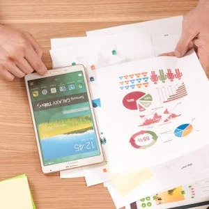 Marketing Strategy – Educational Software preview and deal image
