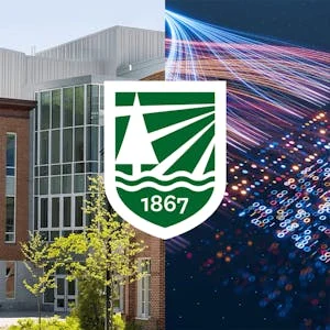 Data Analytics for Digital Transformation preview and deal image