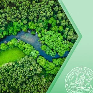 Climate Adaptation and Human Rights preview image
