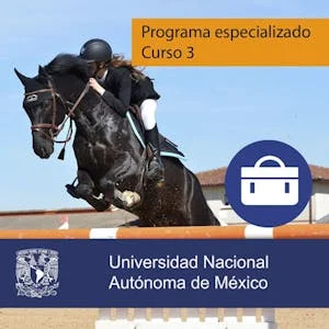 Los obstáculos y la conducción en las negociaciones preview image