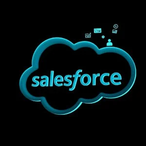 Salesforce Platform App Builder Certification Prep preview image
