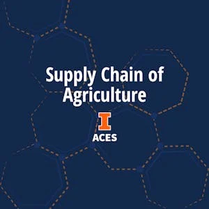 Supply Chain of Agriculture preview image