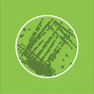 Introduction to Algae preview image