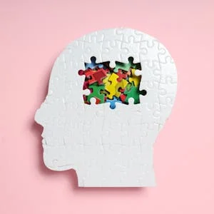 Introduction to Cognitive Psychology and Neuropsychology preview image