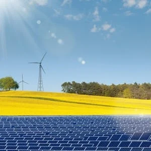 Introduction to Environmental Science preview image