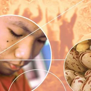 Diabetes – the Essential Facts preview image