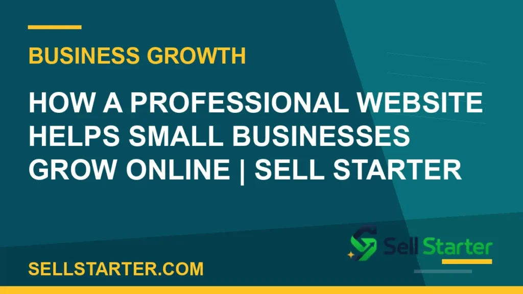 professional website helps small businesses grow - How a Professional Website Helps Small Businesses Grow Online | Sell Starter | Sell Starter